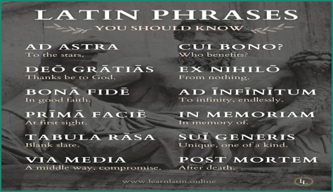 A Profile Of A Latin Beauty
